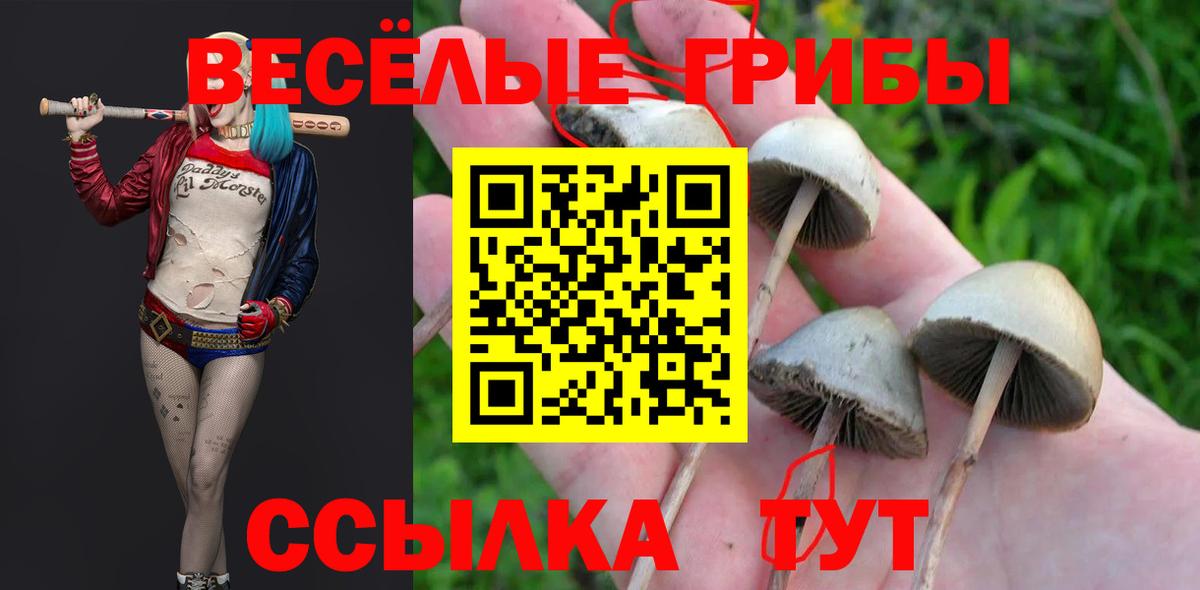 Тихвин  Псилоцибиновые грибы мухоморы  Вход с VPN 