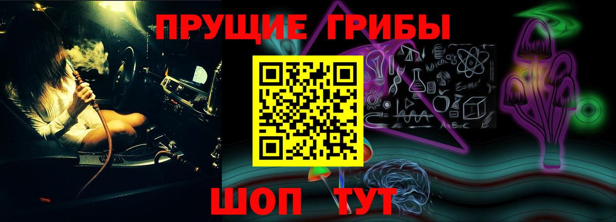 Галлюциногенные грибы Psilocybine cubensis Тихвин